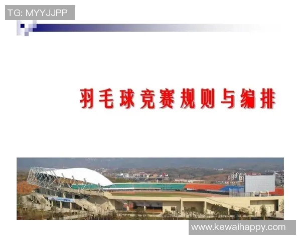 上海羽毛球队的意识与发展探讨：从竞技到文化的全方位分析